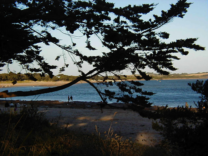 MAP INVERLOCH, VICTORIA