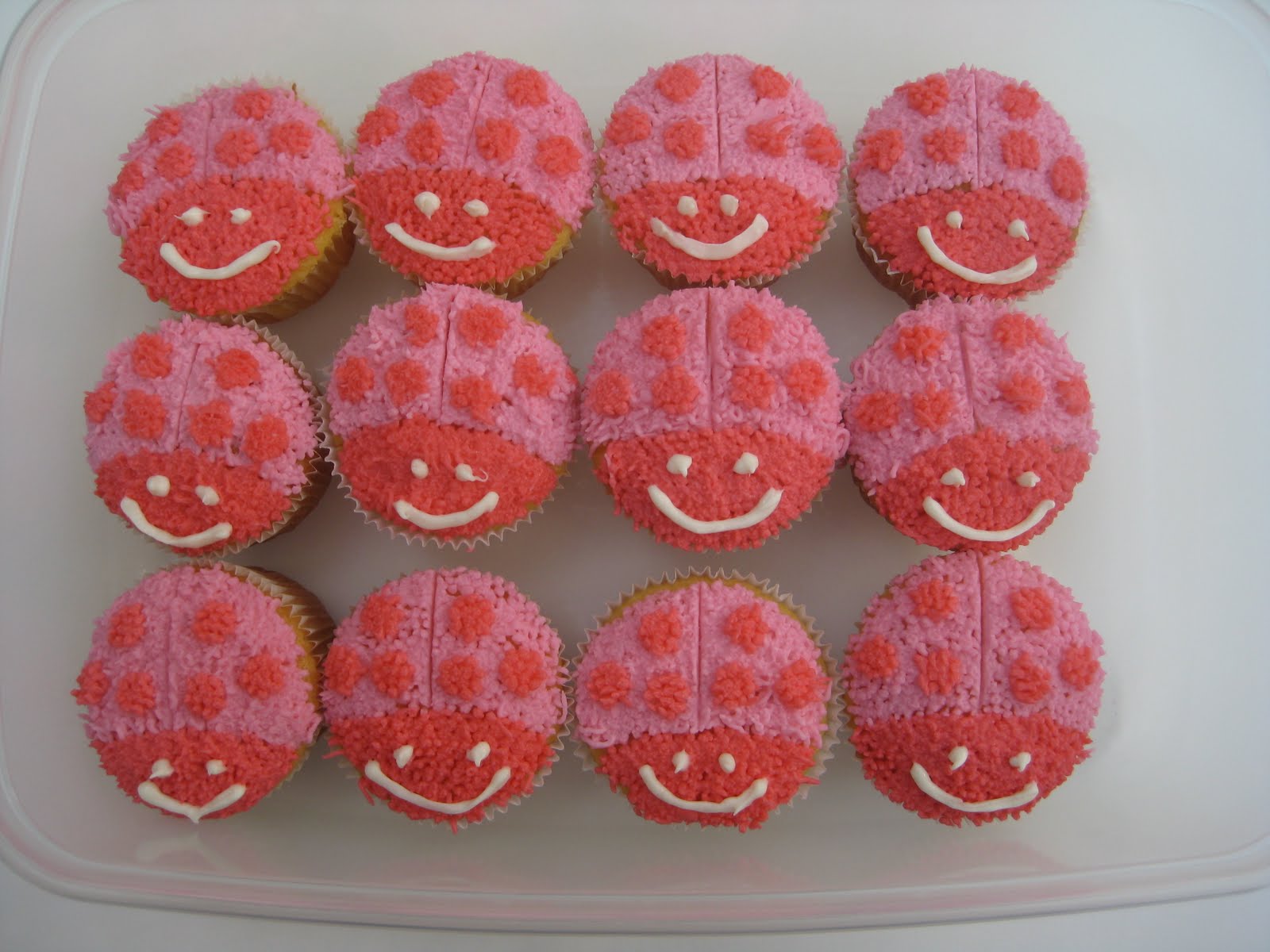 cupcake ladybug