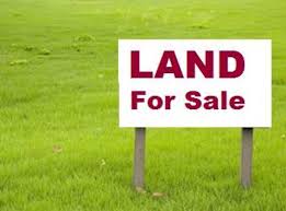 We sell genuine lands - Beulah Land Properties