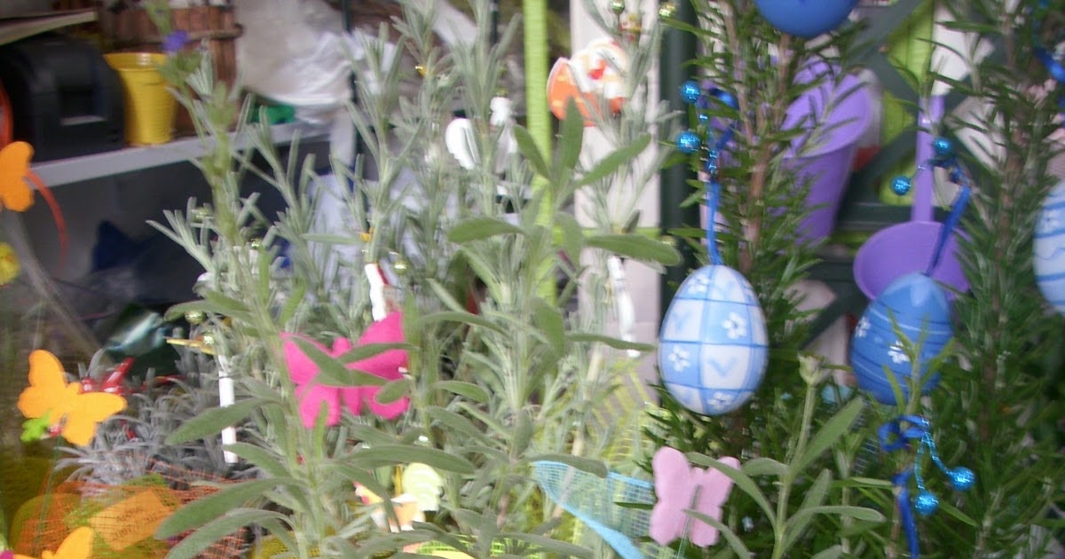 El chiringuito verde: Variedad de "mis plantitas" adornadas para regalo