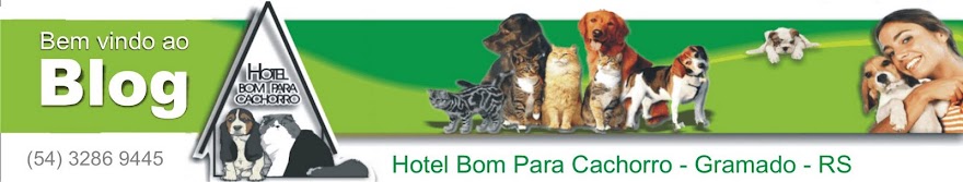 Hotel Bom Para Cachorro