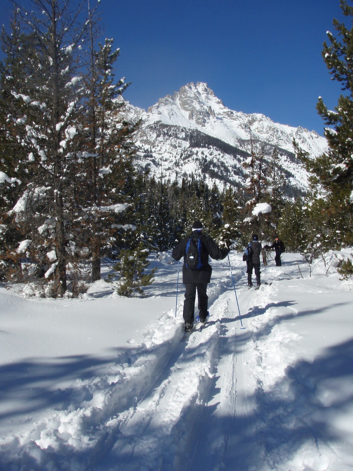 One Day in America Crosscountry Skiing in Grand Teton National Park