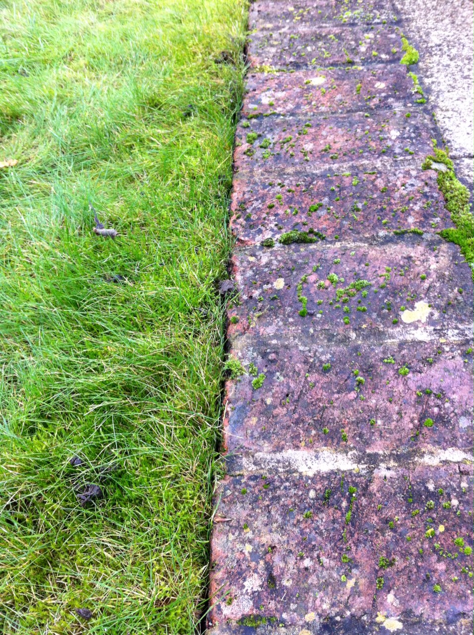 Ben Lowry Edging the lawn with a half moon spade
