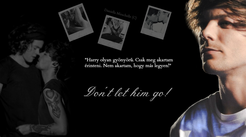 Larry Stylinson - Don't let him go