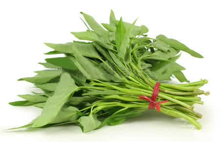 Kangkung Kangkung