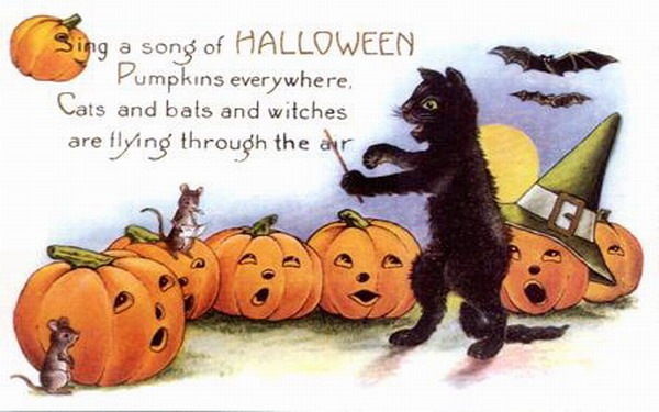 black cat with halloween song
