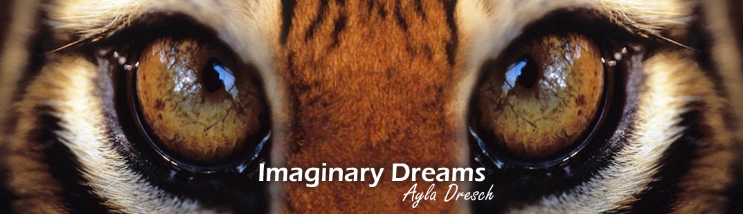 Imaginary Dreams