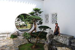 Decoración de interiores: Jardín Interior