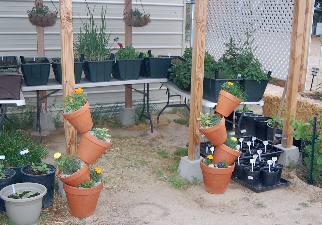 Marti Muses and Marvels Clay Pot Tower Gardens