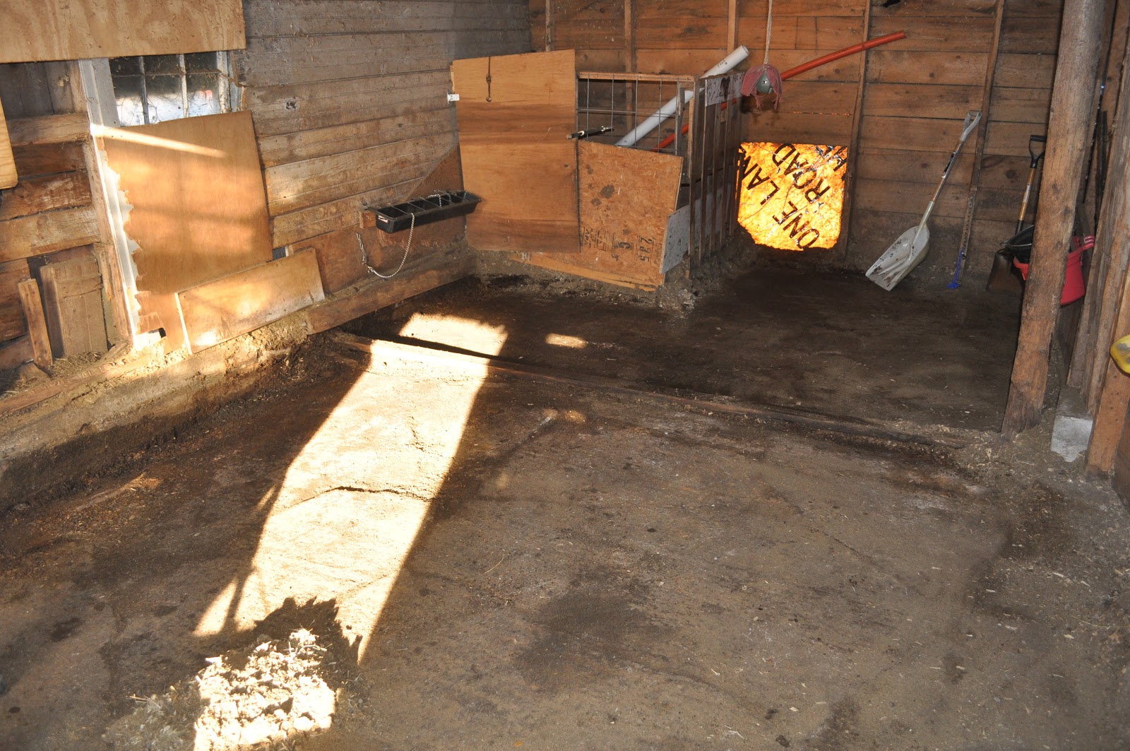 Mainely Ewes Farm Every Goat Needs A Clean Stall