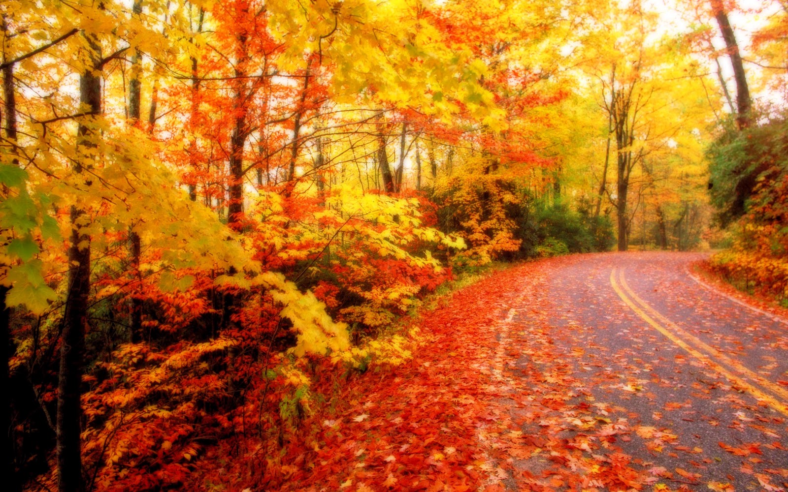 Autumn 3d Wallpapers ~ 3d wallpapers