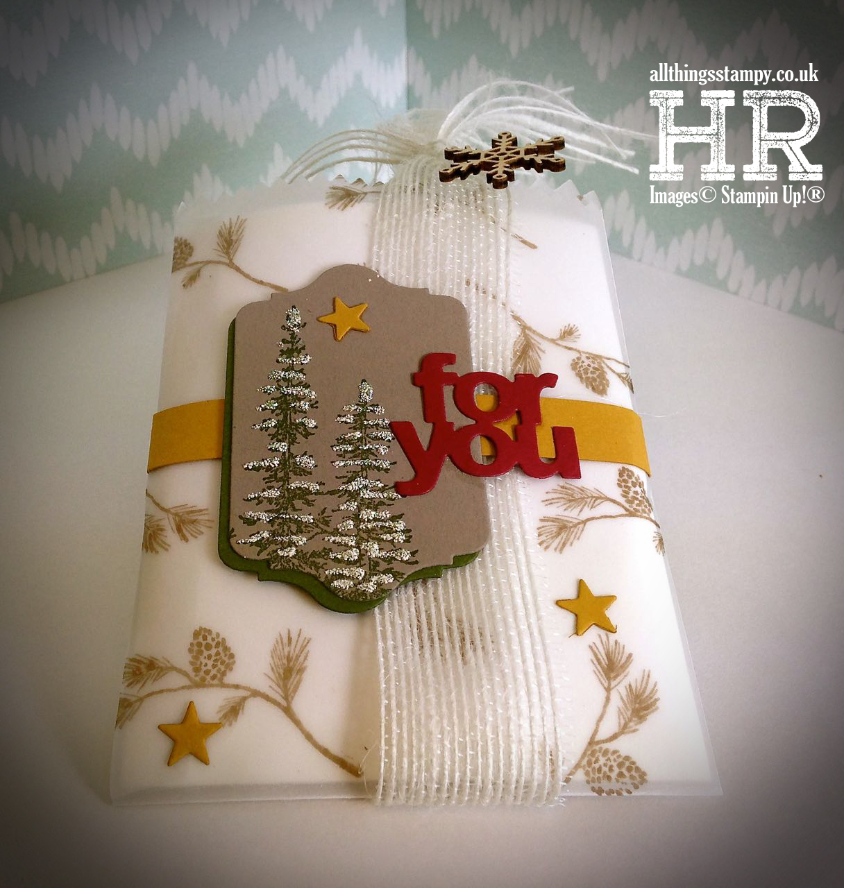 All Things Stampy Wonderland Vellum Mini Treat Bag