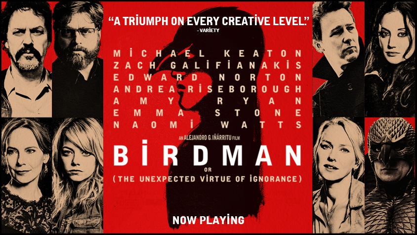 Birdman Download Movies