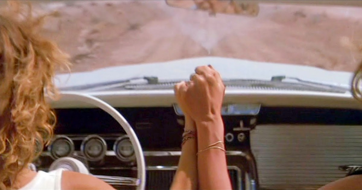 We Saved His Life - True Story!