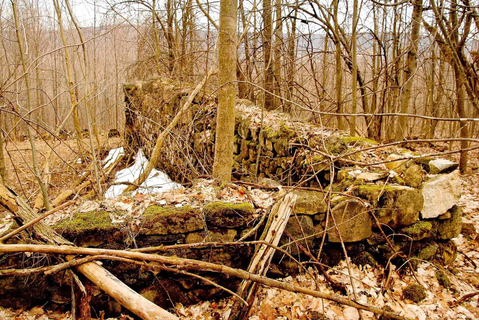 Seasons in the Valley + Furry Gnome's Adventures Geology Lesson at the