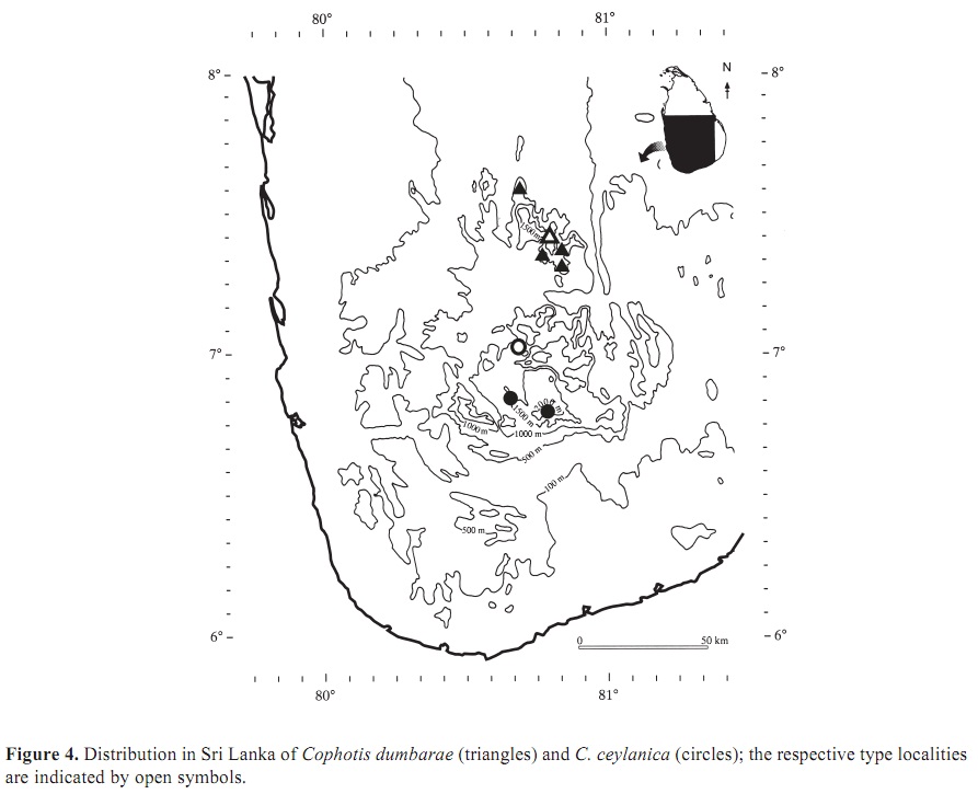 Opisthotropis Cucae