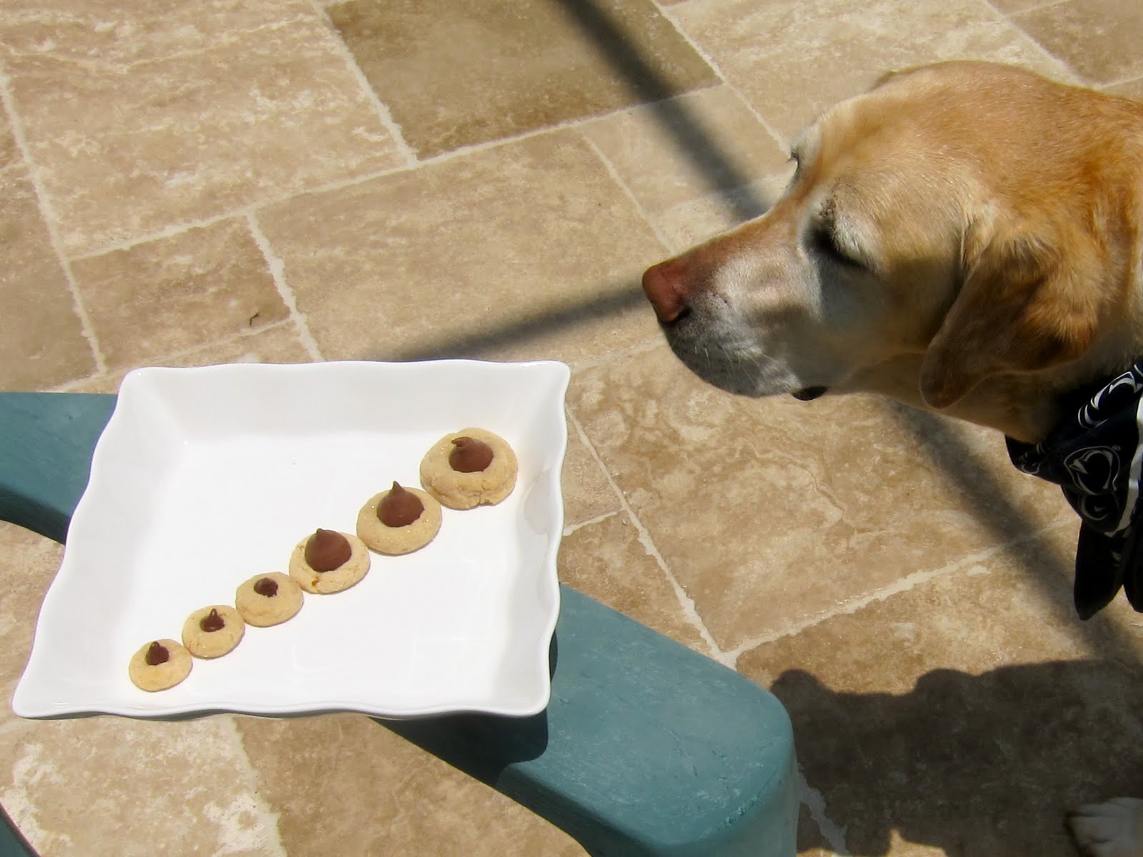 Young Idealistic Baker Peanut Butter Baby Steps