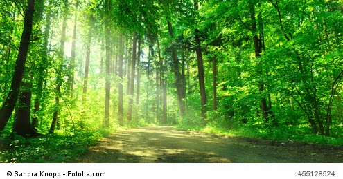 Potenzial Leben Stirb Und Werde Denn Jedes Ende Ist Ein Anfang