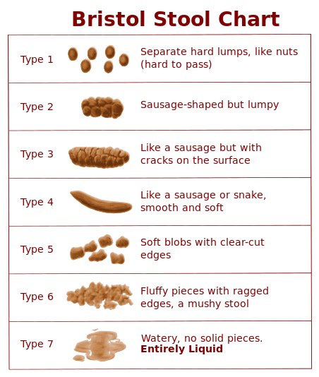 fanatic cook bristol stool chart bristol stool chart cake