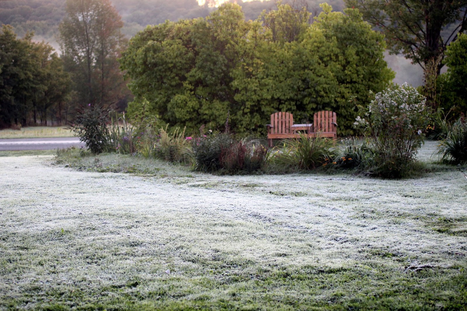 Renaissance First Frost