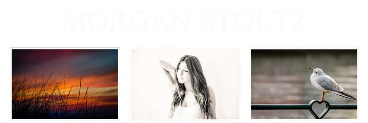 Morgans Foton