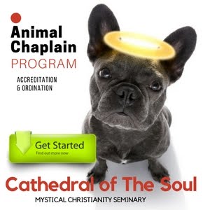 Become an Animal Chaplain