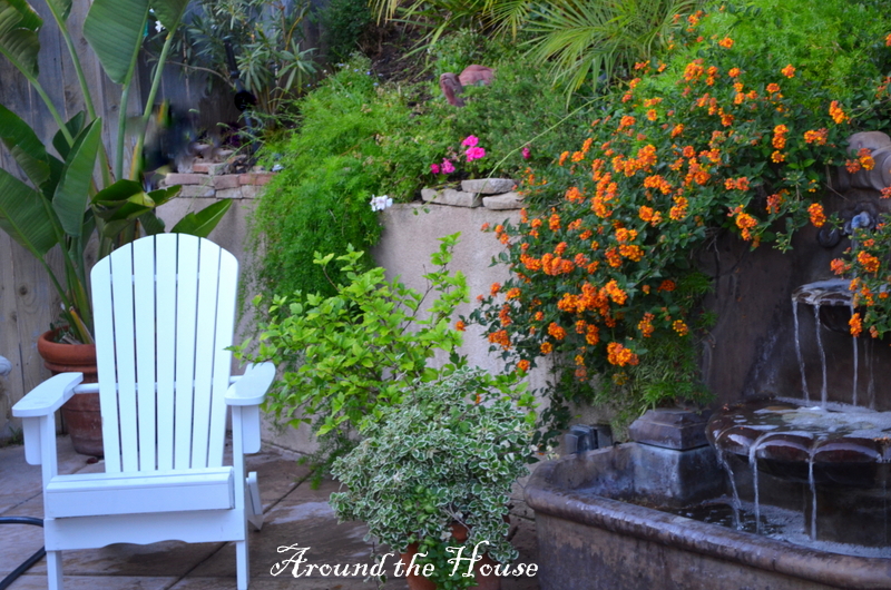 Around the House BACKYARD GARDEN TOUR 2013