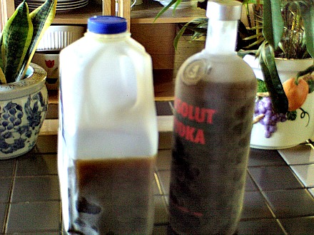 Homemade Kahlua Recipe