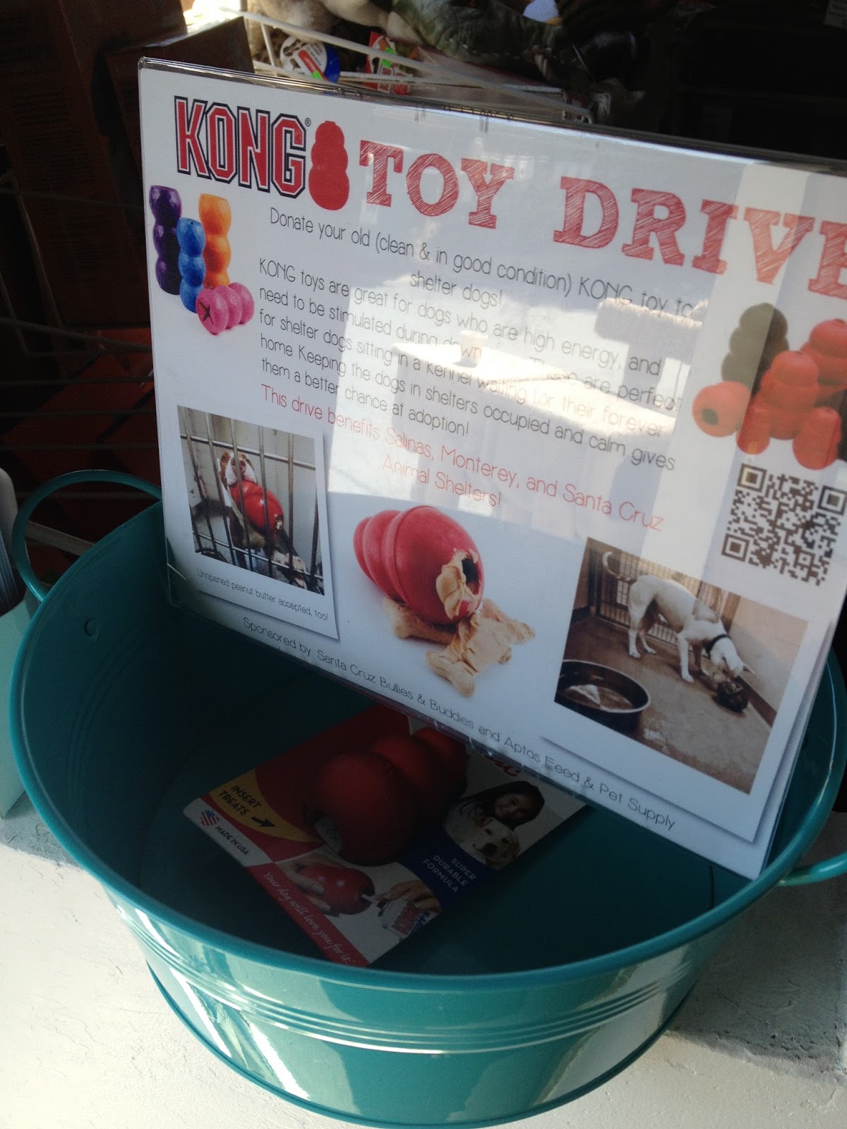 Santa Cruz Dogs Treat Dispensing Toys Kennel Enrichment Part II