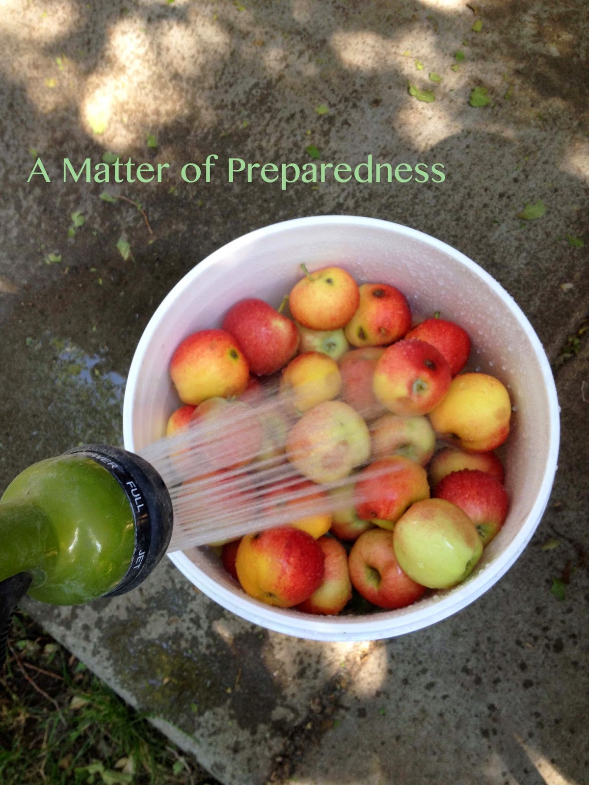 Outdoor Kitchen for Canning