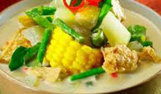 Resep masakan indonesia sayur lodeh soesial, praktis, mudah, enak, lezat