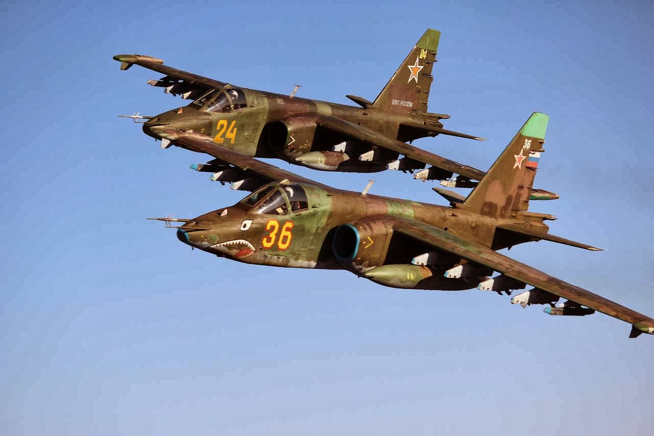 su25pair_shark.jpg
