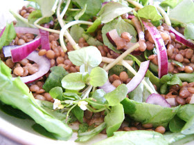 Warm Puy Lentil Salad with Baby Spinach and Watercress and a Balsamic Dressing