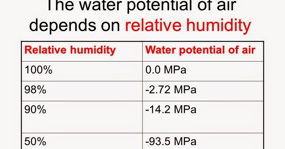 Potential water Water Potential