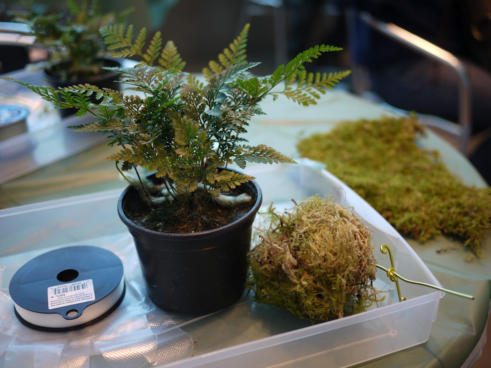 The materials fern, moss, monofilament fishing line and wire