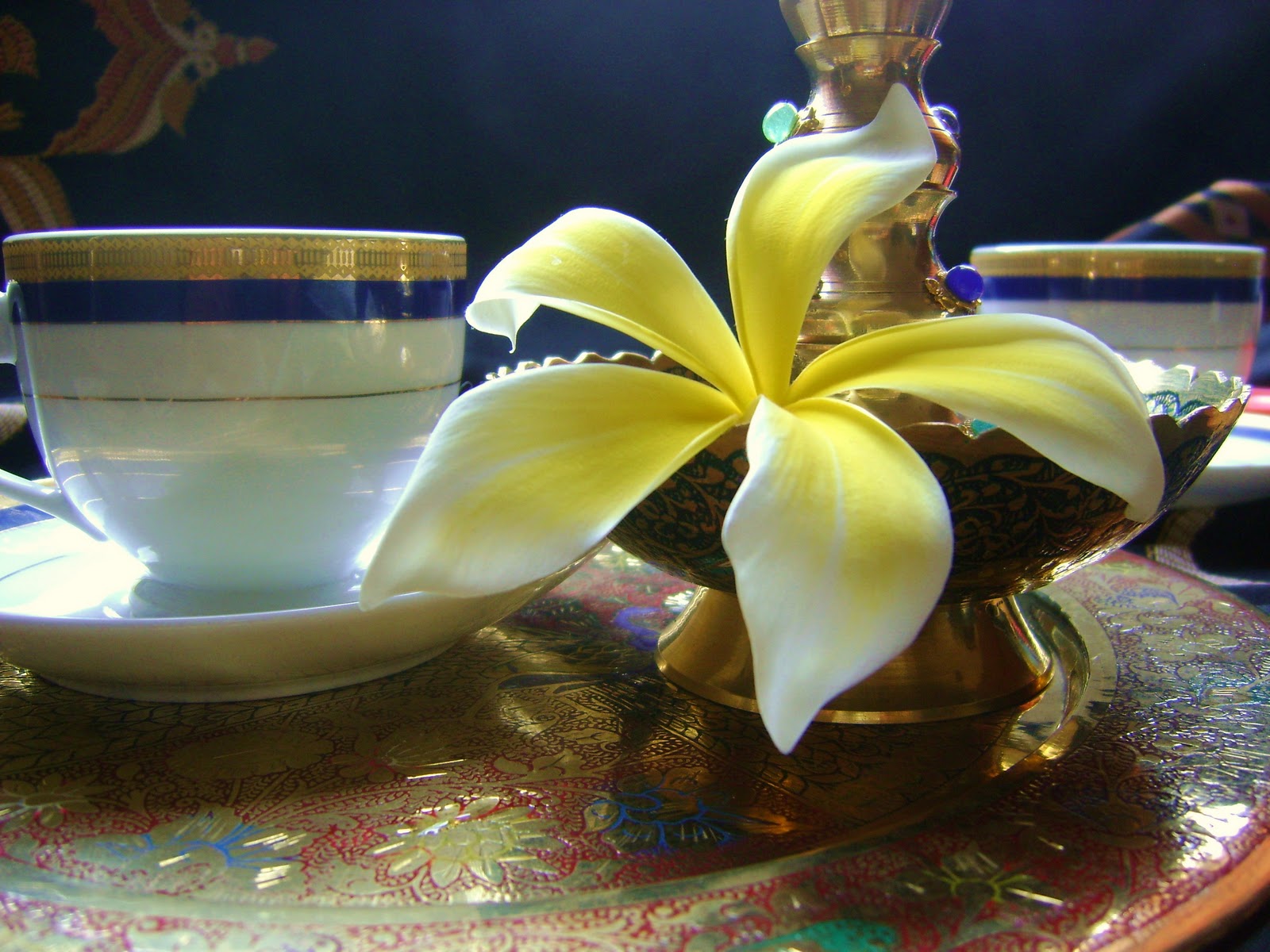 RAINBOW The Colours of India 'Frangipani Tea'....for two!...a beautiful 'SpringSummer