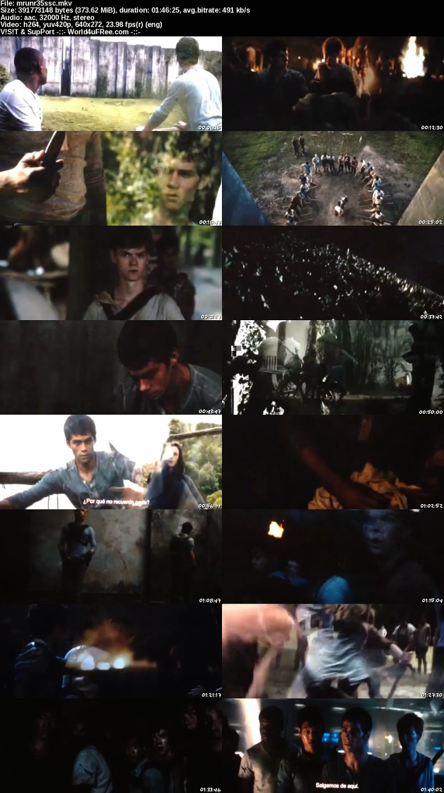 2014 2014