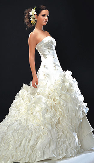 Wedding Dresses and HairStyles