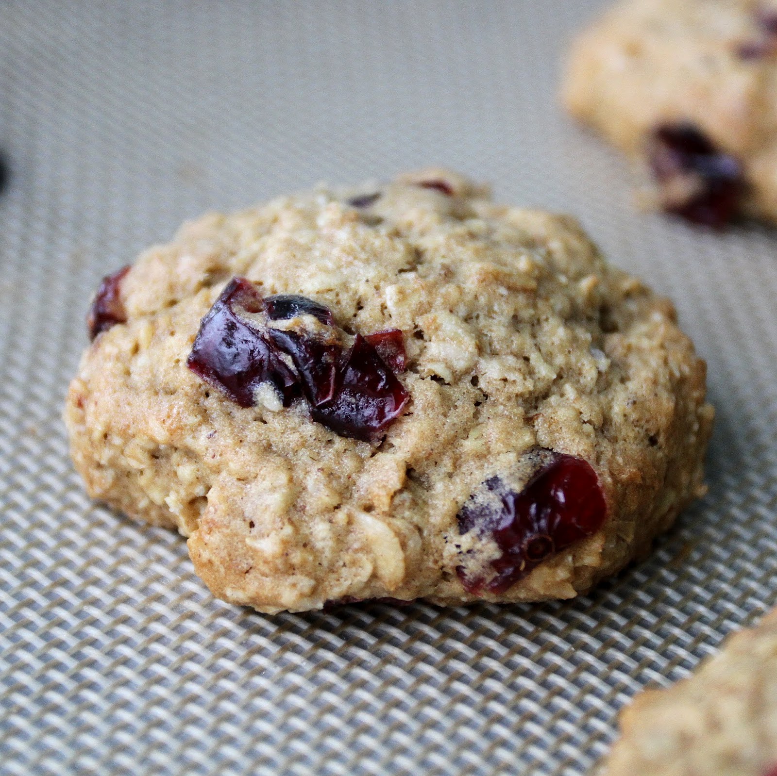 pepsakoy Oatmeal & Cranberry with Maple Syrup Cookies