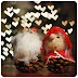 Day 8 - Christmas Photo Countdown