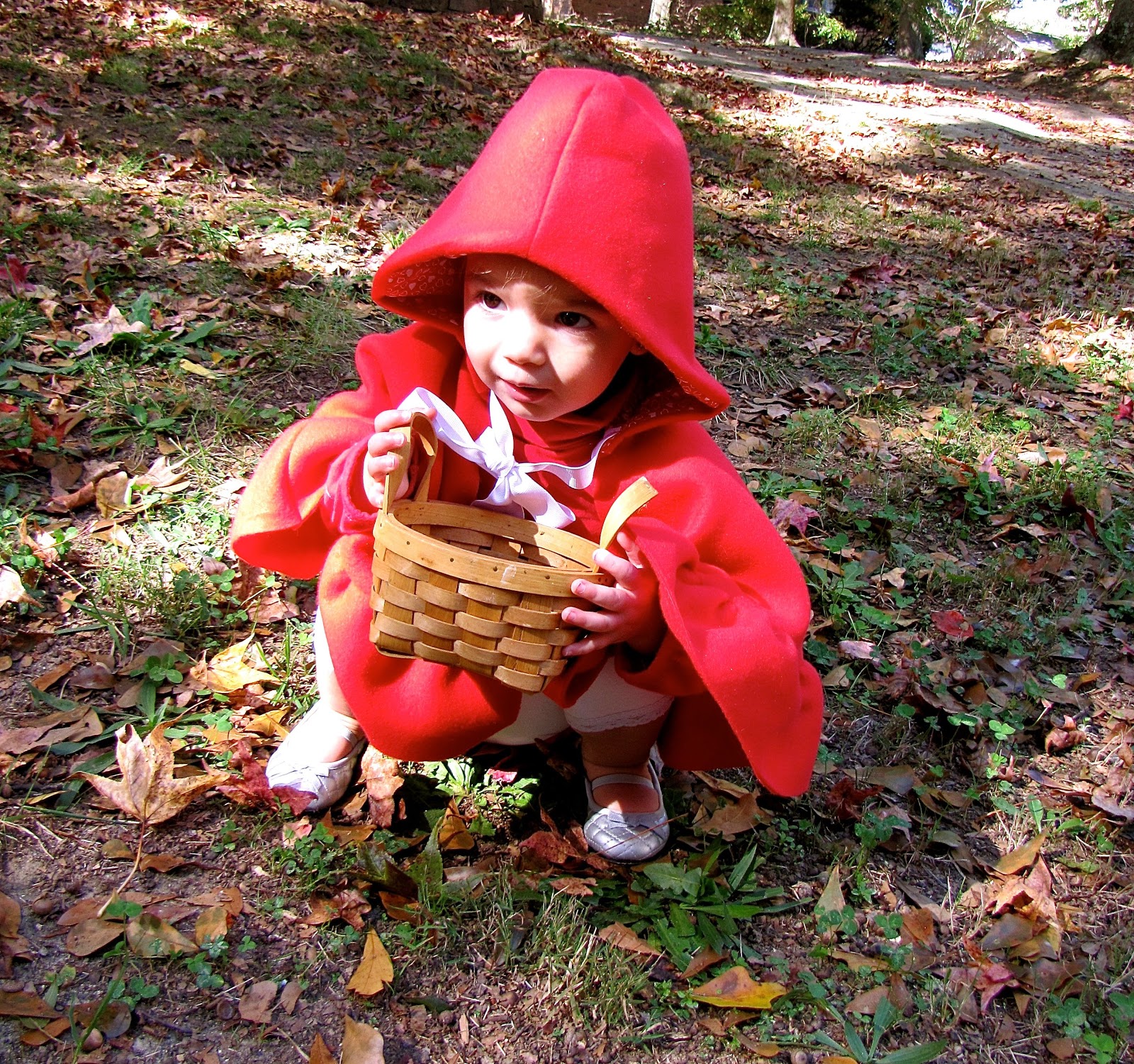 little red riding hood costume