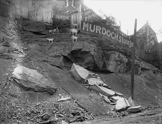 Goats on a Hillside, 1927, Pittsburgh