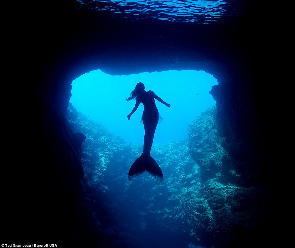 Beautiful Mermaid  Googeli World