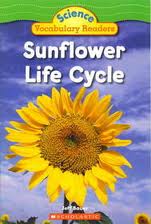 literature review on sunflower literature review on sunflower