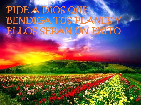 PIDE A DIOS QUE BENDIGA TUS PLANES Y ELLOS SERAN UN EXITO