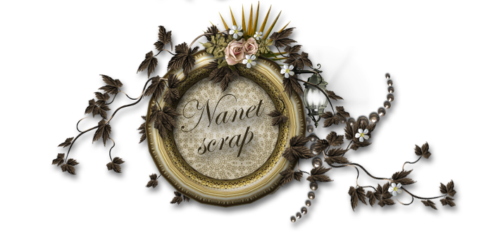 Nanet scrap