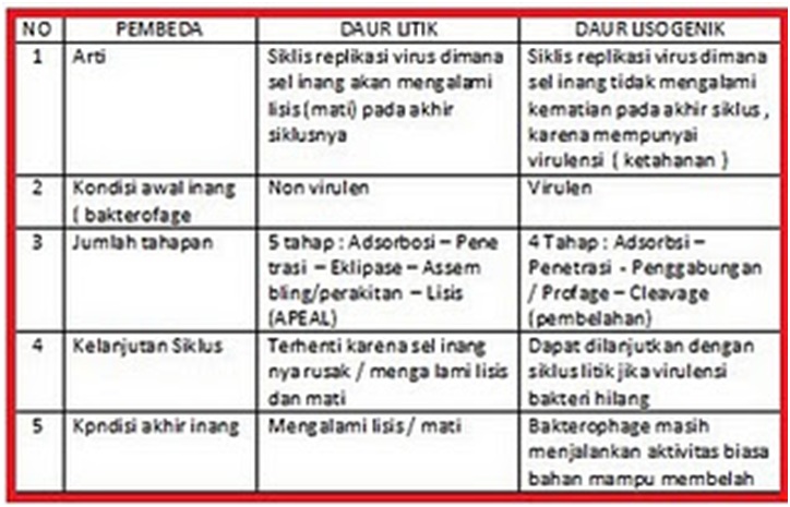 Me You Beda Fase Litik Dan Lisogenik