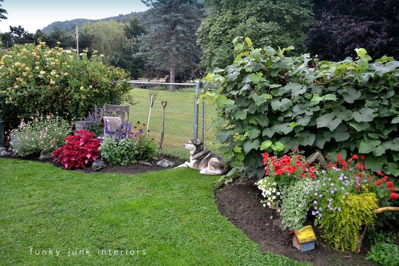 Summer 2011 gardening yard and junk photosFunky Junk Interiors