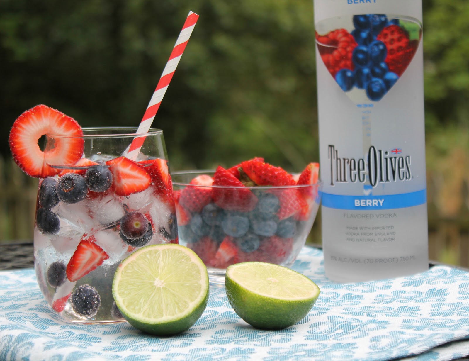 Very Berry Vodka Spritzer Carolina Charm