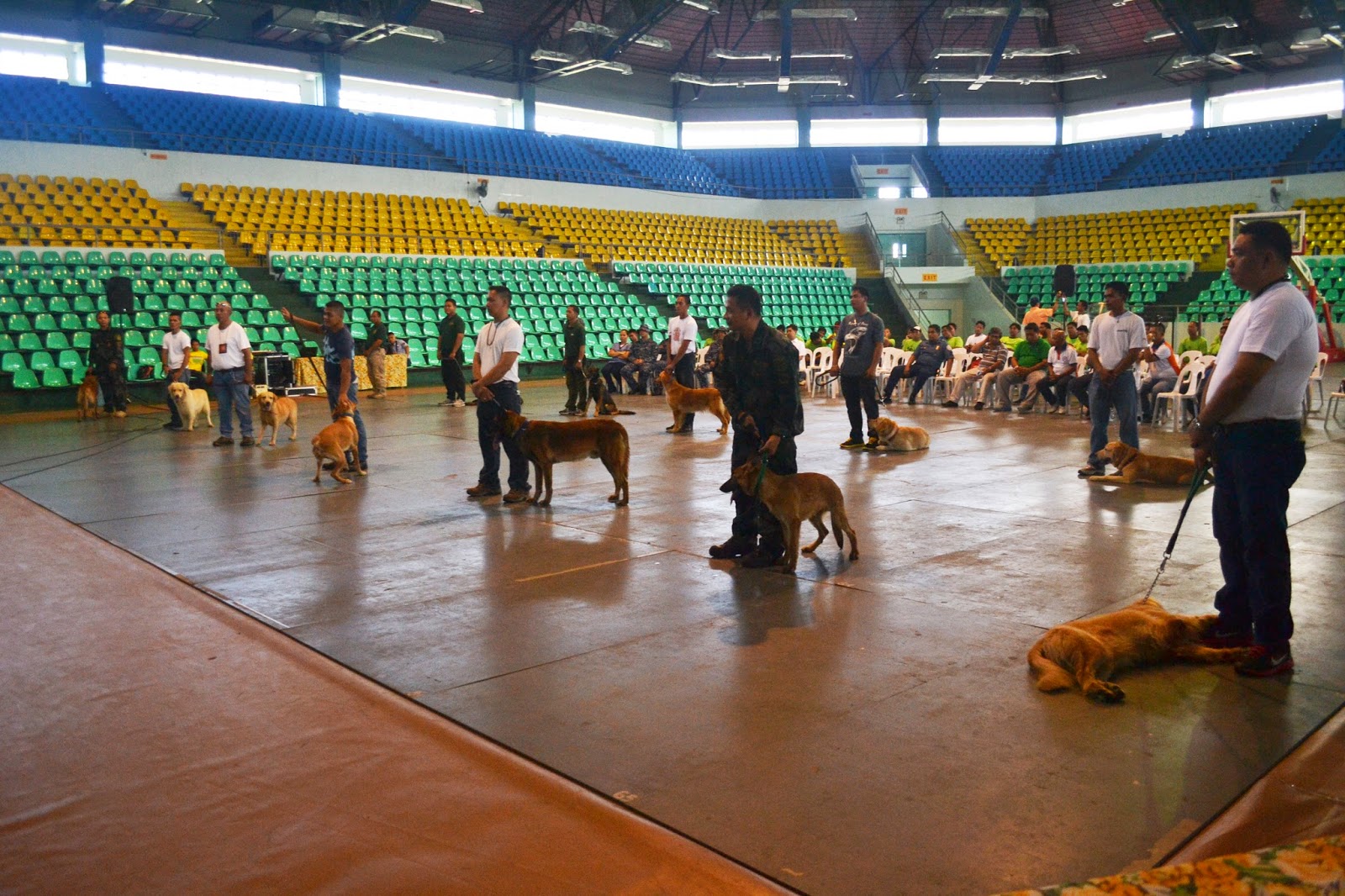 malihaw Coast Guard District Western Visayas Holds Basic K9 Handler’s